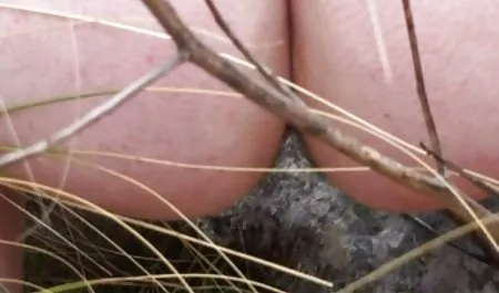 La propuesta de la Níger, ama de casa, casada, y poner los cuernos madres calientes hd a su marido